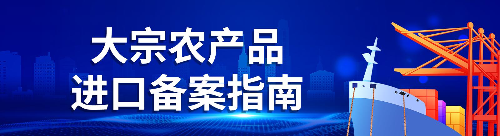 大宗备案
