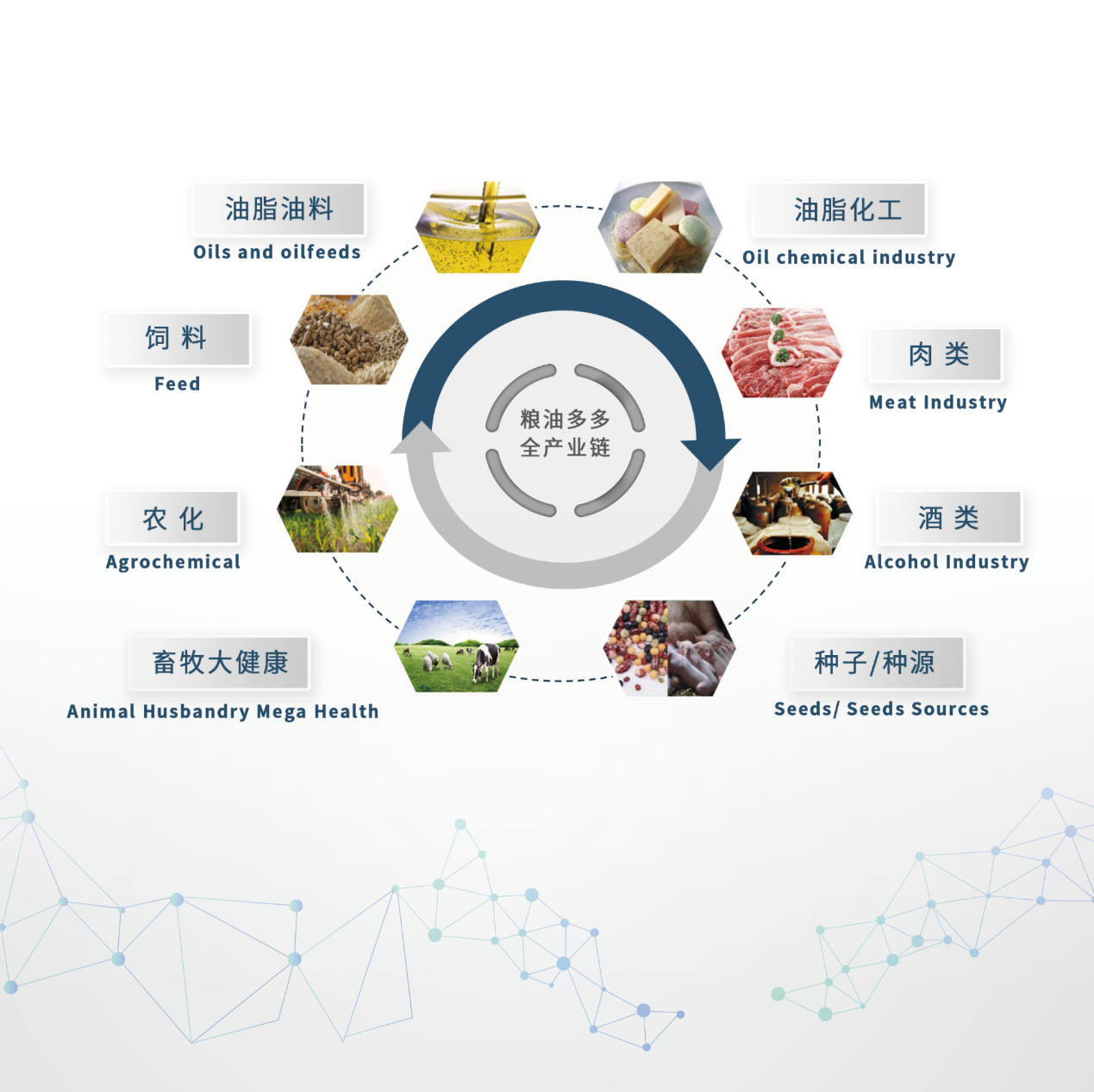 日程表已生成极高可信度的说明