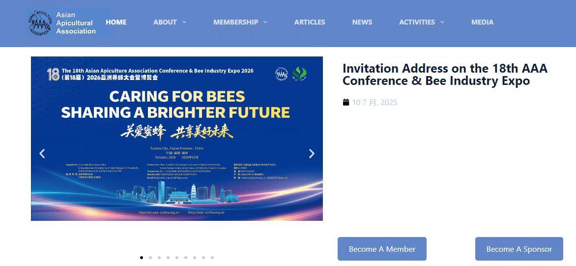 图形用户界面, 应用程序AI 生成的内容可能不正确。