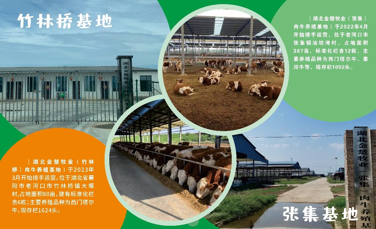 图片包含 图形用户界面已生成极高可信度的说明
