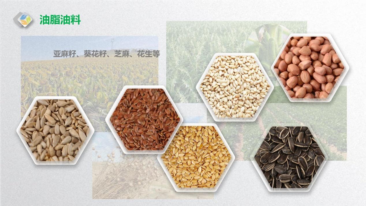 图片包含 游戏机, 水果, 食物已生成极高可信度的说明