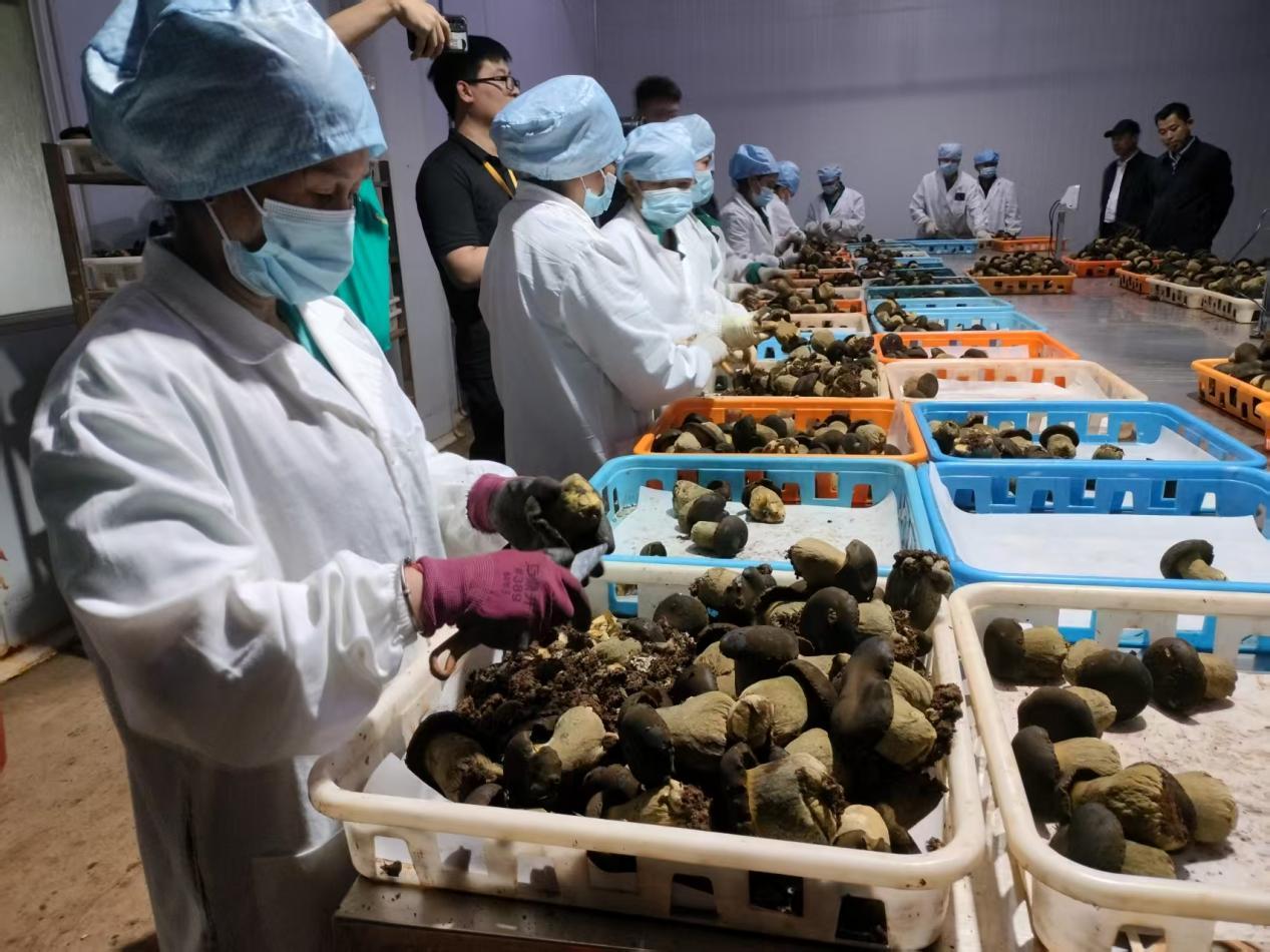 357f2687f1ce3b57dc75555711709763