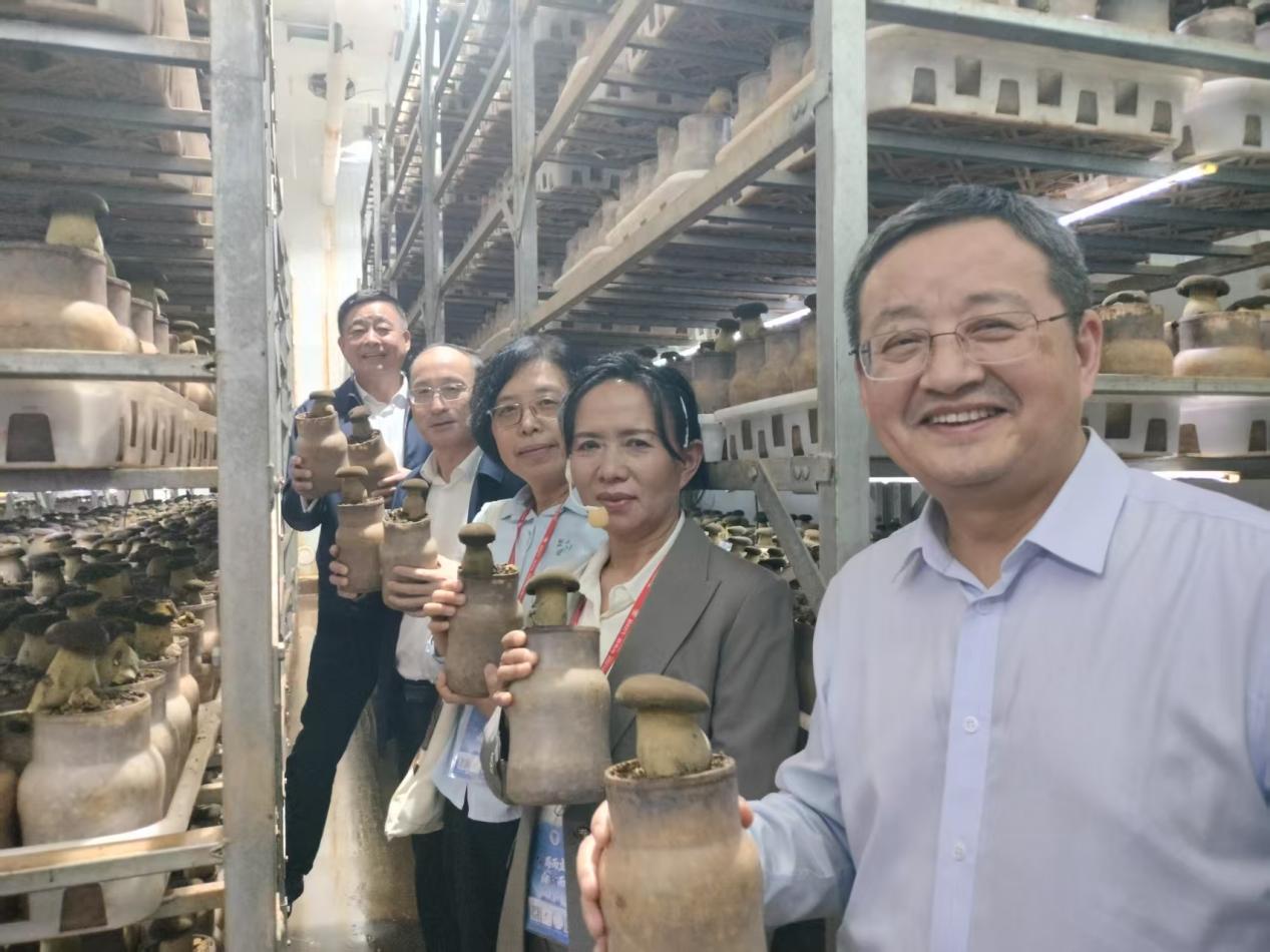 51279b110348480b1b2b3aca68485d5d