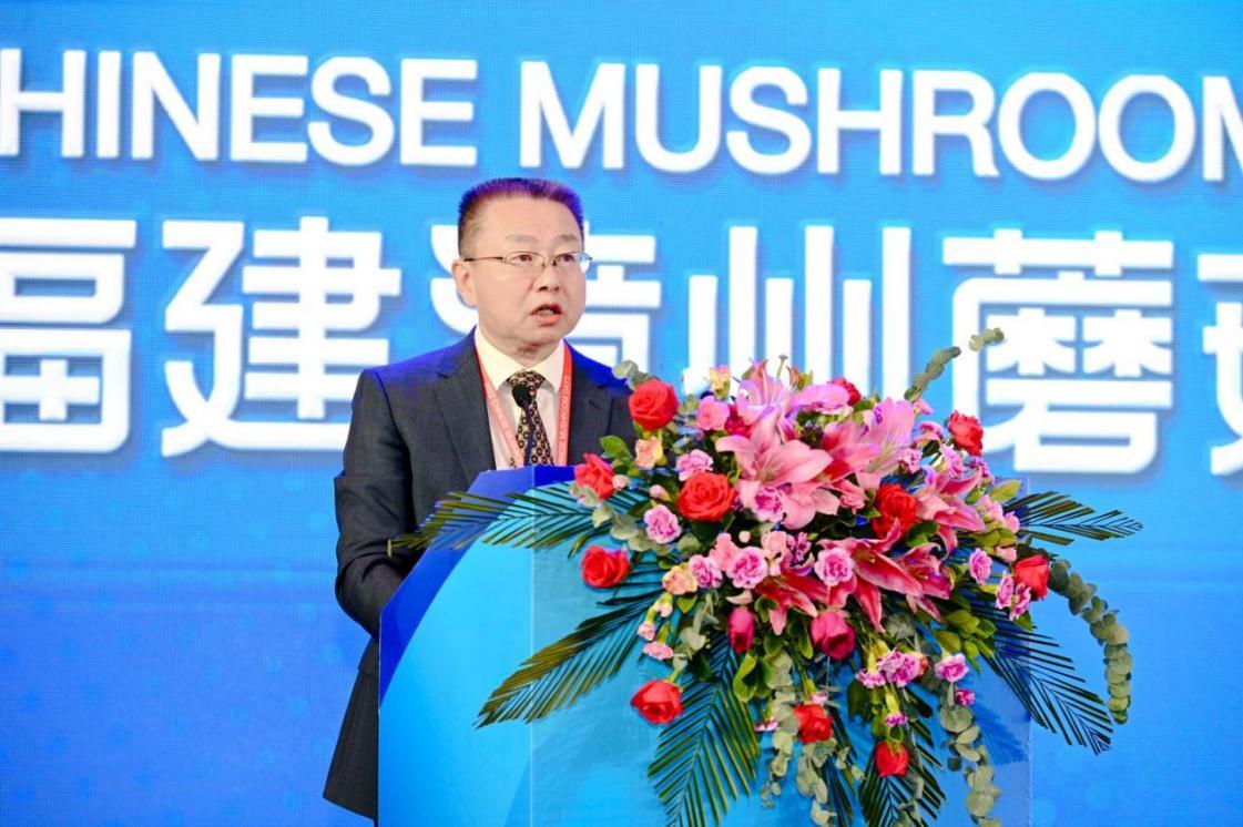 榜单公布4