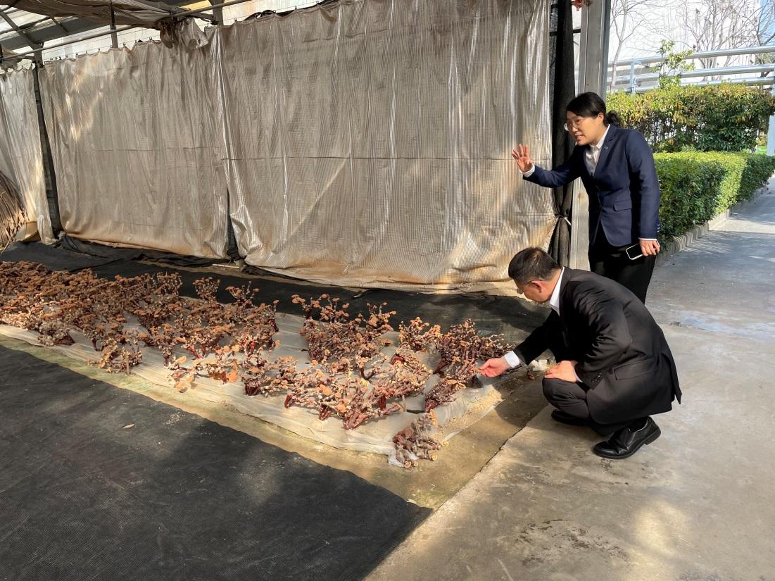 微信图片_20240401102806